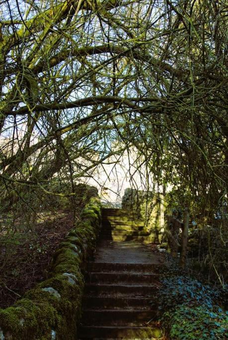 Gorgeous Cozy Cottage With A Heritage Feel, Walks, Pubs & Wood Burner Tideswell Exteriér fotografie